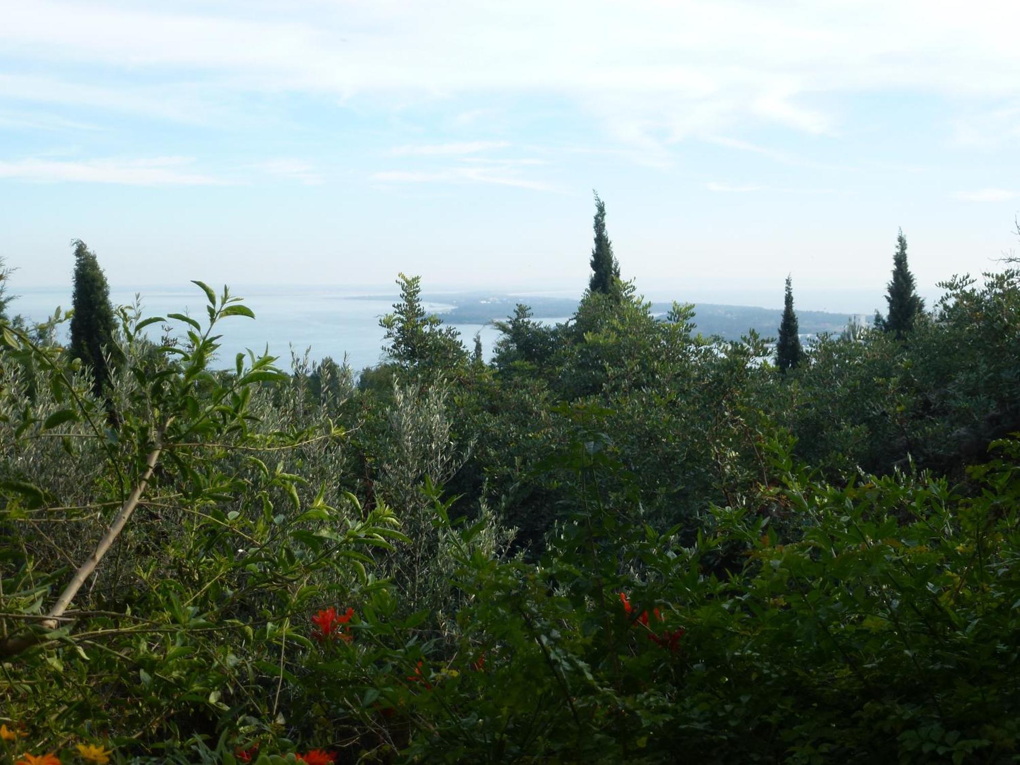 Ha Mar Ao Luar Hotel Setubal Luaran gambar