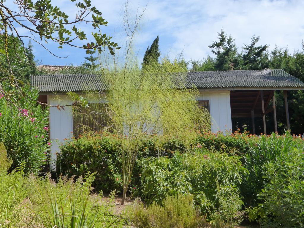 Ha Mar Ao Luar Hotel Setubal Luaran gambar
